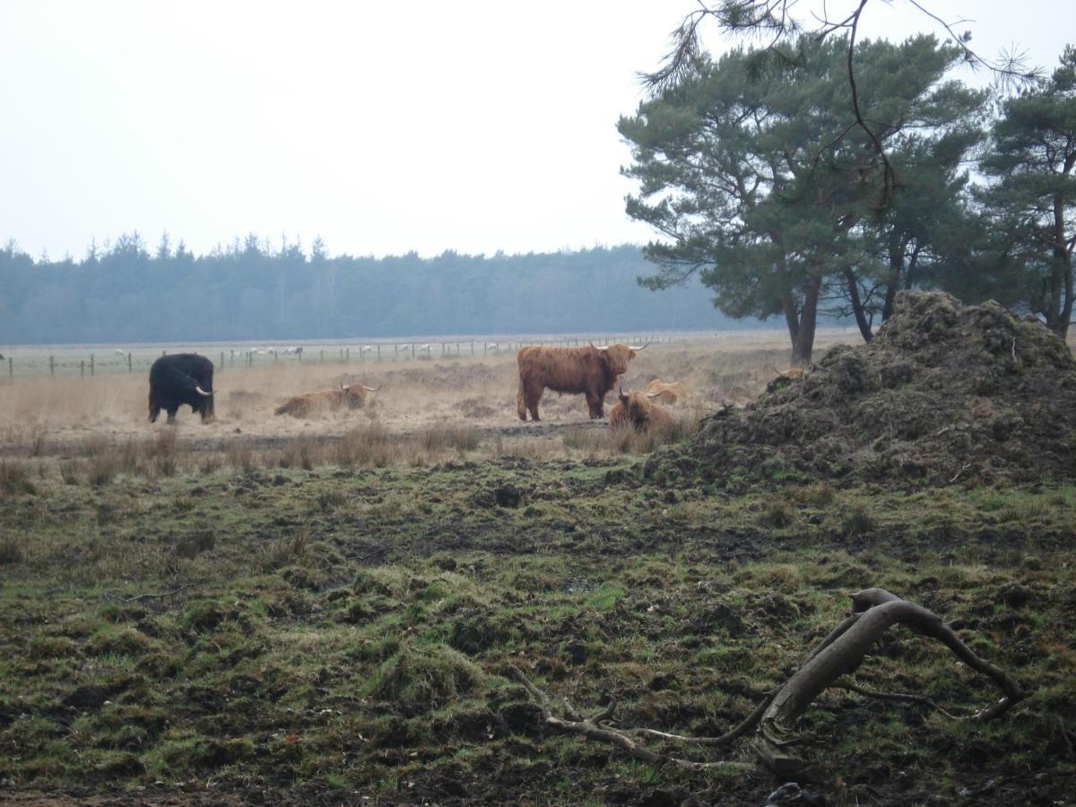 B&B De Eikenhorst Elsloo  ภายนอก รูปภาพ